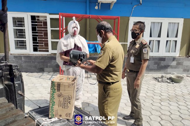 Penertiban Pengamen Pocong Meresahkan di Simpang Empat Karangwuni Ceper