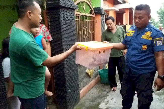 Penanganan Hewan Berbahaya Masuk Rumah Warga Jonggrangan, Klaten Utara