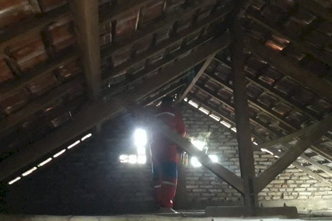 Penanganan Sarang Lebah di Dalam Rumah Warga Desa Melikan Kecamatan Wedi