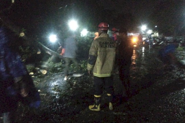 Penanganan Pohon Tumbang di Gatak Delanggu Klaten
