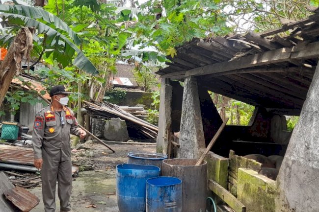 Cek Lokasi  Peternakan Babi yang Mencemari Lingkungan di Desa Karanganom Klaten Utara