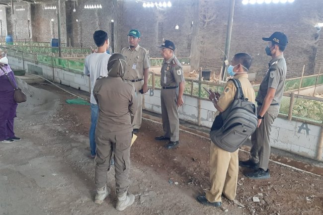 Penanganan Aduan Polusi Bau Limbah Peternakan Bebek di SMA N 1 Wonosari