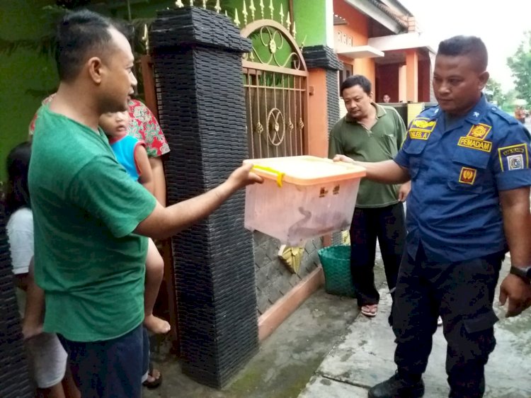 Penanganan Hewan Berbahaya Masuk Rumah Warga Jonggrangan, Klaten Utara