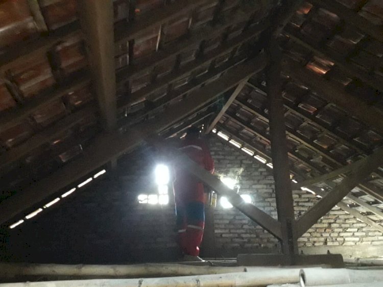Penanganan Sarang Lebah di Dalam Rumah Warga Desa Melikan Kecamatan Wedi