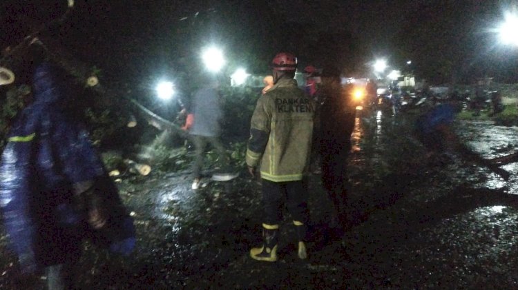 Penanganan Pohon Tumbang di Gatak Delanggu Klaten