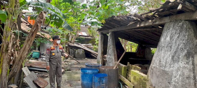 Cek Lokasi  Peternakan Babi yang Mencemari Lingkungan di Desa Karanganom Klaten Utara