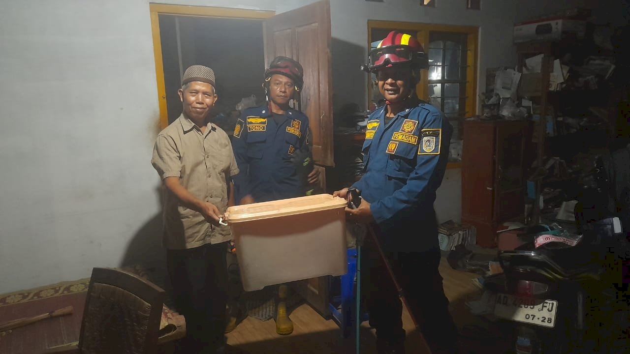 Damkar Klaten Evakuasi Ular Cobra di Gantiwarno
